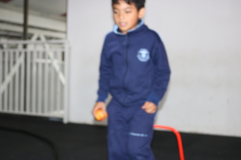 Día de la Actividad Física